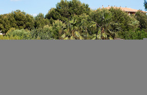 Bougainvillea Safari Lodge Bougainvillea Safari Lodge