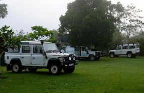The Haven The Haven