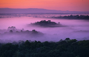 Kakamega Forest National Reserve