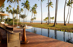 The Palms The Palms
