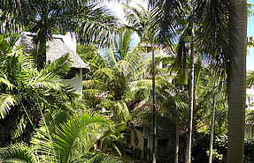 Palm House