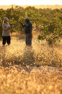 Selous Game Reserve