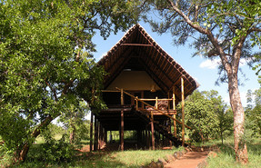 Kikoti Safari Camp Kikoti Safari Camp