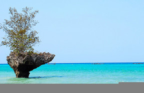Pemba Island Pemba Island