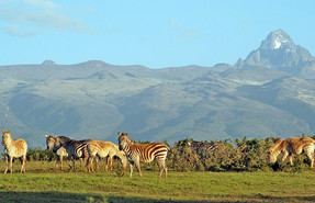 mt. Kenya National Park mt. Kenya National Park