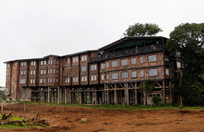 Treetops Hotel Treetops Hotel