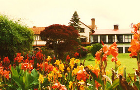 Outspan hotel Outspan hotel