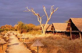 Kibo Safari Camp